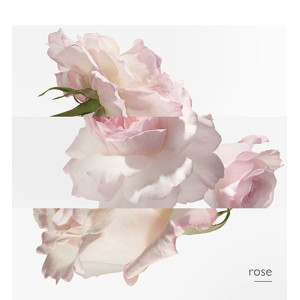 Rosa Pampelmusenwasser - Eau de Cologne Rosa Pampelmusenwasser - Eau de Cologne